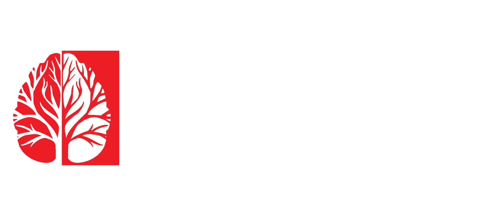 Dinnova White Text Logo-01